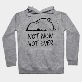 Not Now Not Ever Hoodie